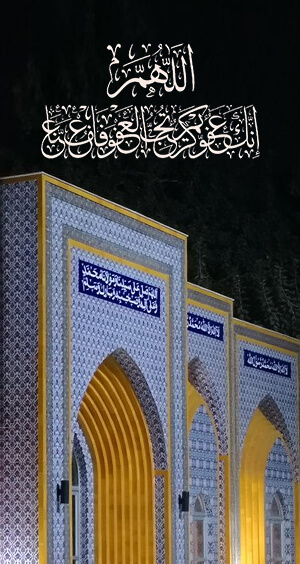 Minhaj Welfare France