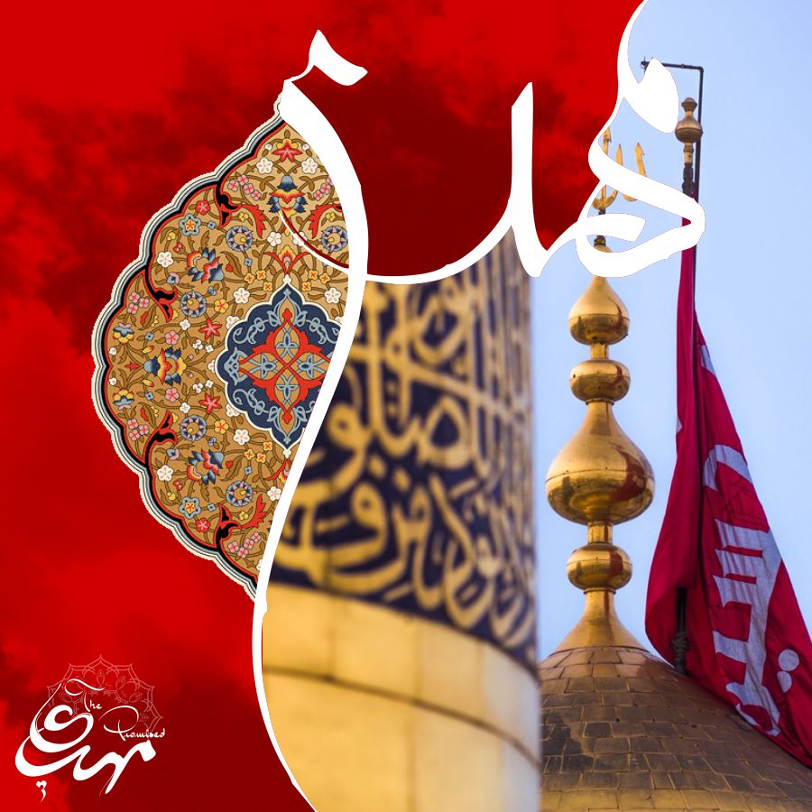 Minhaj Welfare France